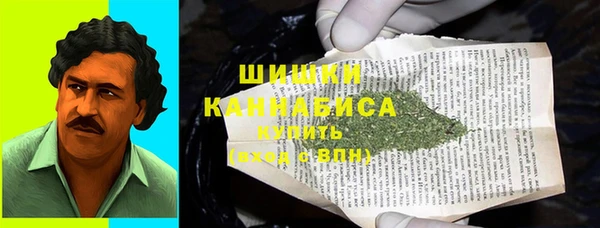 гидра Богородицк