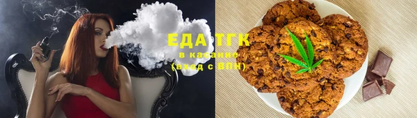 гидра Богородицк