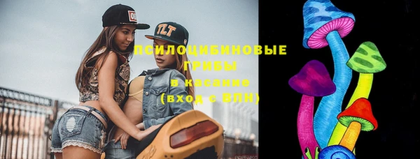 гидра Богородицк