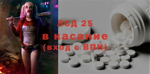 гидра Богородицк