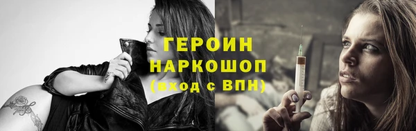 гидра Богородицк