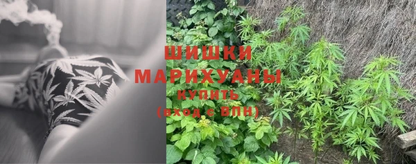 гидра Богородицк