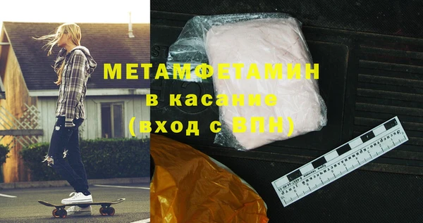 гидра Богородицк
