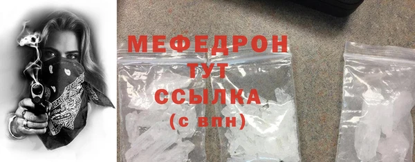 гидра Богородицк